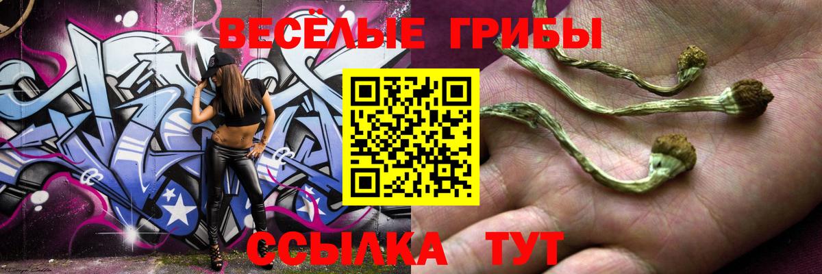 Галлюциногенные грибы GOLDEN TEACHER  Вход с VPN  как найти закладки  Элиста 